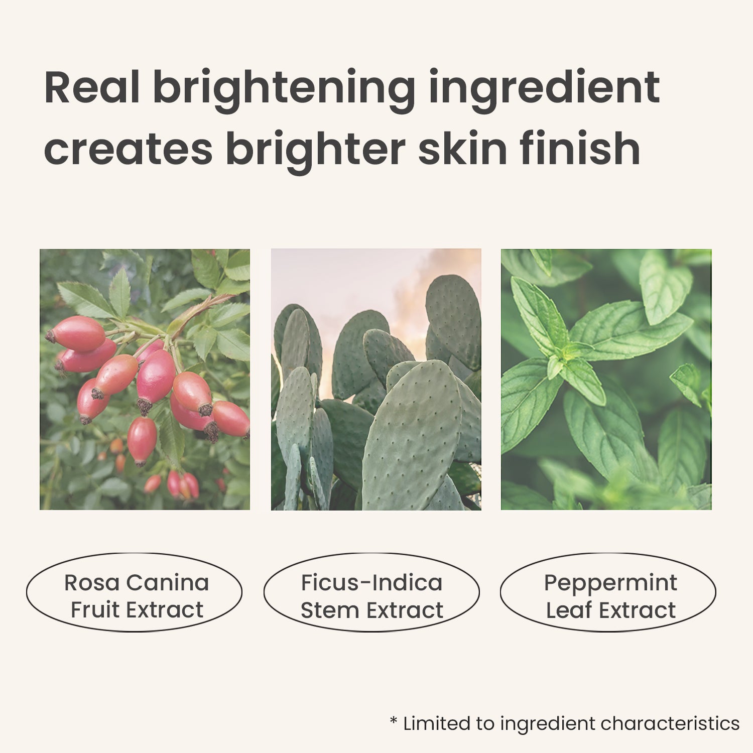 Artless Perfect Cushion 13g/0.45oz *2ea (incl. refill)