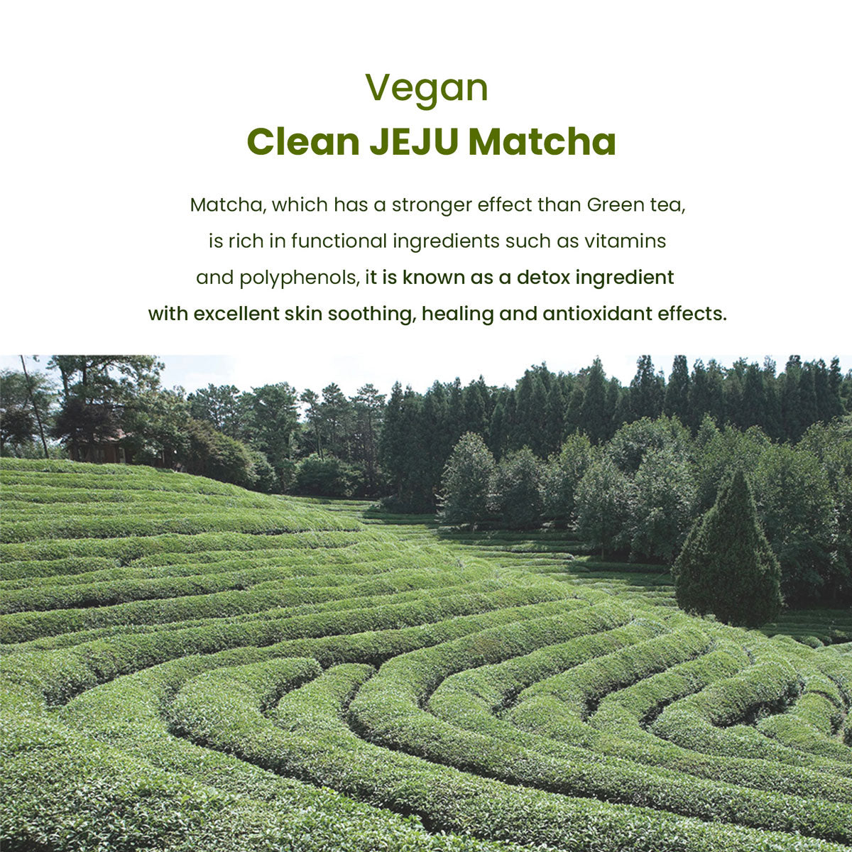 Matcha Biome Hydrogel Eye Patch 1.4g/0.05oz *60pcs
