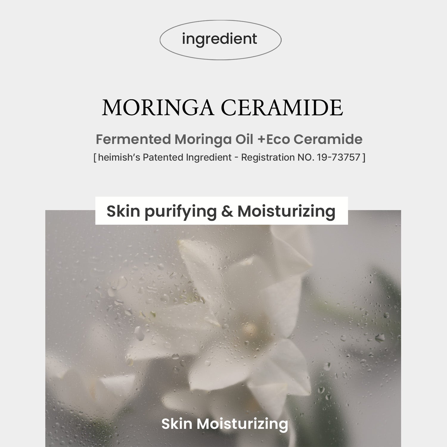 Moringa Ceramide Collagen Enriched Moisturizer 120ml/4.06 fl.oz